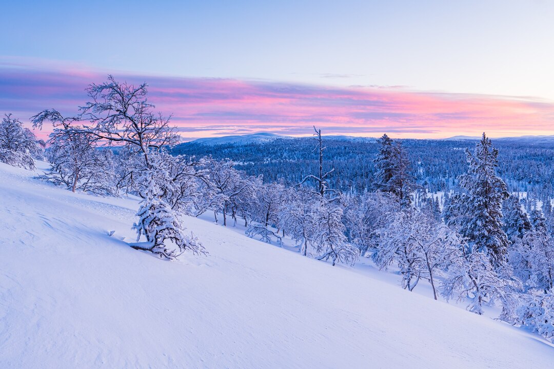 雪景色